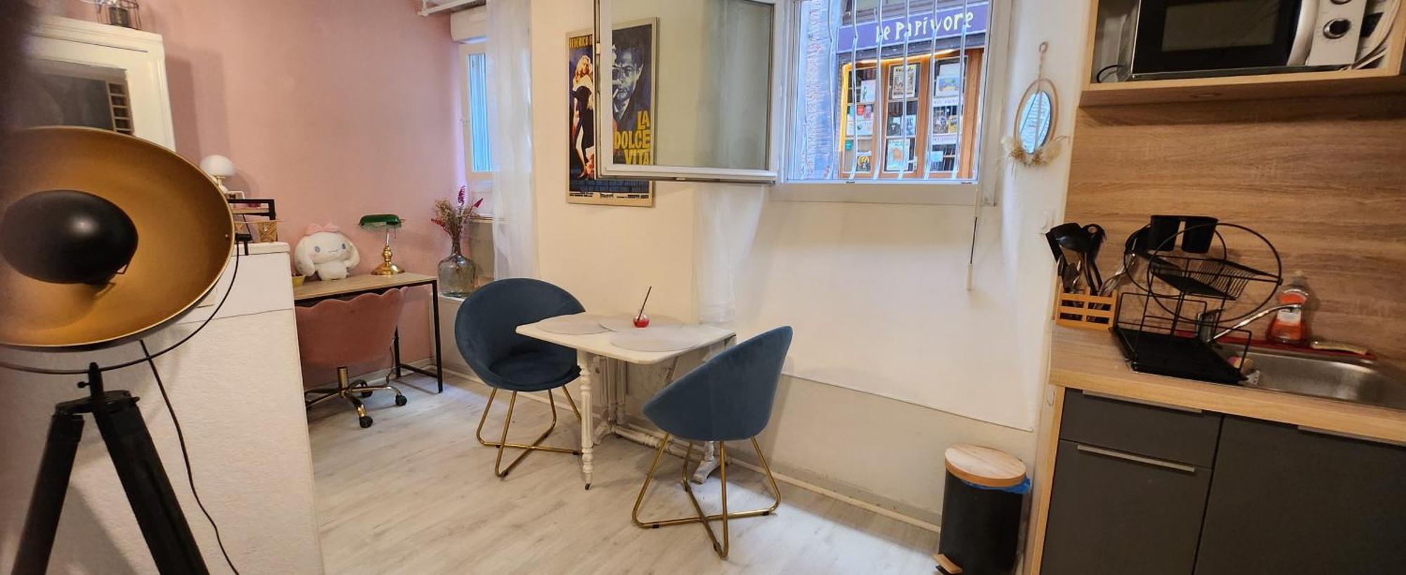 Appartement Hyper Centre Historique Toulouse Capitole Cosy 外观 照片